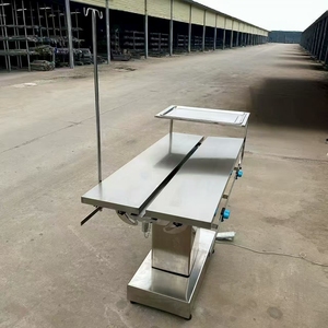 Mesa de <span class=keywords><strong>Examen</strong></span> Veterinario de Acero Inoxidable <span class=keywords><strong>para</strong></span> Animales Grandes, Mesa de Operaciones <span class=keywords><strong>para</strong></span> Mascotas con Altura Ajustable - Product Image 1
