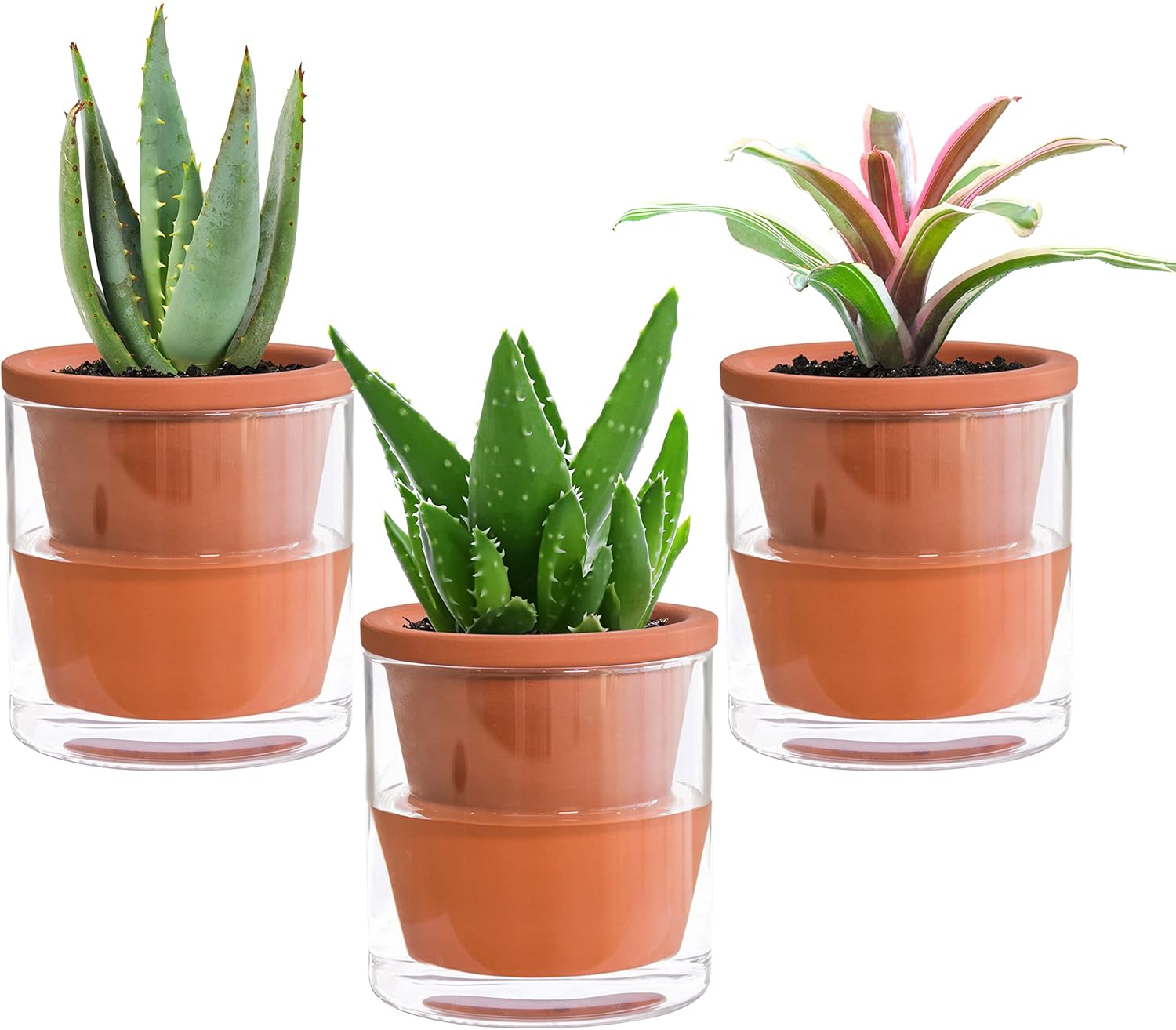 Vaso da fiori autoirrigante vaso da fiori pigro fi... - Grandado