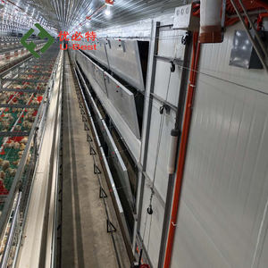 Comedero Automático <span class=keywords><strong>para</strong></span> <span class=keywords><strong>Pollos</strong></span> <span class=keywords><strong>de</strong></span> Alta Eficiencia a Precio Económico, Equipo <span class=keywords><strong>de</strong></span> Avicultura, Jaula <span class=keywords><strong>para</strong></span> <span class=keywords><strong>Pollos</strong></span> <span class=keywords><strong>de</strong></span> Engorde <span class=keywords><strong>para</strong></span> 10000 <span class=keywords><strong>Pollos</strong></span> - Product Image 5