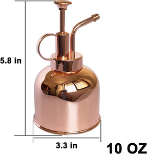 Brice 300ml 10oz Stainless Steel Plant <b>Mister</b> <b>Spray</b> <b>Bottle</b> with Custom Color for Indoor Potted Plants Modern Gardening Tool - Product Image 2