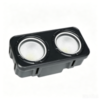 Projecteur LED étanche blanc chaud/froid 2x100W COB, contrôle sonore et DMX, éclairage de scène et disco