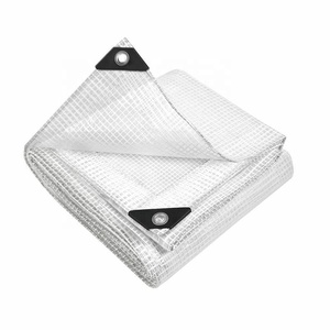 Vente en gros chine usine personnalisée fournisseur pas cher plastique transparent robuste bâche et ficelle transparente renforcée Poly bâches - Product Image 1