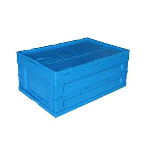핫 세일 접을 수있는 물류 상자 플라스틱 배송 상자 수확 바구니 접이식