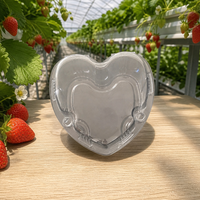 Hartvormige 500g capaciteit gerecycleerde PET geventileerde transparante wegwerp clamshell verpakking voor verse kersentomaten en aardbeien