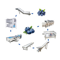 Pemasok Mesin Cuci Blueberry Industri