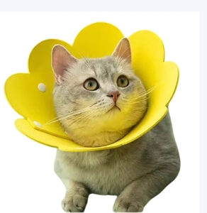 Pet Protective Collar Dog Neck <strong>Cone</strong> Recovery <strong>Cone</strong> Collar for Anti-Bite Lick Surgery Wound Healing Cat Dogs Health Medical Circle - Product Image 1