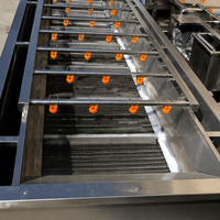 Industriële reinigingsmachine voor de verwerking van fruit en groenten, capaciteit 100-1000 kg voor groente- en fruitkiemen