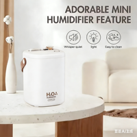 Mini humidificateur portable 3 modes de brumisation Super silencieux 1300ml Brumisation fraîche USB Personnel Bureau Extérieur Petit humidificateur