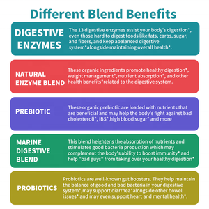 Tabletas de Enzimas Digestivas al por Mayor OEM, Suplemento para la Salud Intestinal, Probiótico - Product Image 3