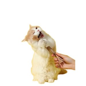 โรงงานขายส่งอุปกรณ์สัตว์เลี้ยง ของเล่นเคี้ยวสำหรับสัตว์เลี้ยงขายดี ของเล่นทำความสะอาดฟันแมว ของเล่นเคี้ยวสำหรับแมว - Product Image 2