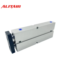 Cylindre ALITAIR série TN, cylindre à double tige standard, double cylindre pneumatique en acier de petite taille
