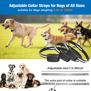 <strong>Outdoor</strong> Underground Electric <strong>Dog</strong> Training <strong>Fence</strong> - Product Image 5