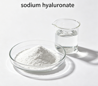 1KDA Menyediakan Bubuk Sodium Hyaluronate Kelas Kosmetik, Bahan Baku untuk Formulasi Toner Wajah & Losion Pelembap