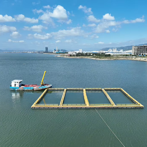 Jaulas <span class=keywords><strong>de</strong></span> Cría <span class=keywords><strong>de</strong></span> <span class=keywords><strong>Peces</strong></span> <span class=keywords><strong>de</strong></span> Alta Calidad, Red <span class=keywords><strong>de</strong></span> Pesca <span class=keywords><strong>de</strong></span> Polietileno, Jaula Flotante <span class=keywords><strong>de</strong></span> HDPE para Acuicultura y Piscifactorías - Product Image 1