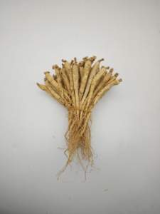 Racine de ginseng <span class=keywords><strong>blanc</strong></span> premium de la montagne de Changbai, matière première séchée pour les fabricants de sachets de thé/boissons, vente en gros - Product Image 3