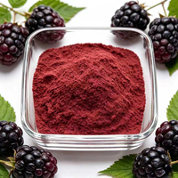 Voedingsmiddelengekeurd lyofiliseerd zwart frambozenpoeder 80 mesh 100% natuurlijk geheel fruit gevriesdroogd bessenpoeder
