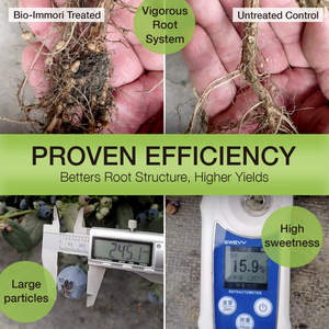 Hecho en Taiwán Bio IMMORI Extracto de Ganoderma Lucidum Bioestimulante Fertilizante para el Acondicionamiento del Suelo - Product Image 3