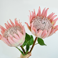 Bunga Protea Cynaroides Buatan Tahan Lama, Rangkaian Bunga Tropis Raksasa untuk Latar Belakang, Grosir