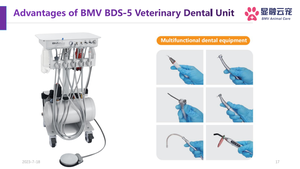 <strong>Dental</strong> <strong>Chair</strong> <strong>Unit</strong> Prices <strong>High</strong> <strong>Quality</strong> Luxury Treatment Free Space Parts <strong>Dental</strong> Equipment Silla <strong>Dental</strong> <strong>Dental</strong> <strong>Unit</strong> - Product Image 3