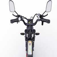 Vélo de montagne électrique Ridstar Q20pro - Cadre en aluminium Freins à disque hydrauliques Double batterie au lithium 52V 40AH Shimano 7 vitesses Moteur arrière sans balais