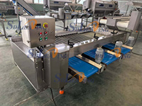 Industriële automatische machine voor het verwerken van dadels, inclusief wasmachine en sorteermachine voor het wegen en sorteren van Medjool dadels.