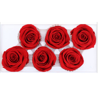 Ecuador Konservierte Rosenköpfe 5-6cm Rote Farbe Langlebige Rosen