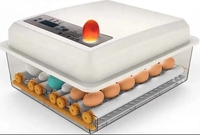 Incubateur d'Œufs Automatique en Gros, Neuf, Petit Système d'Incubation Ménager pour Élevage de Poulets, Prix Abordable pour Ferme Avicole
