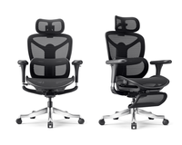 Silla de Oficina Ergonómica, Silla de Escritorio Giratoria de Malla con Respaldo Alto para Oficina en Casa, con Ruedas y Soporte Lumbar