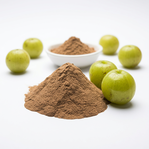 Poudre de fruits Amla, 30g, meilleur prix, en Stock - Product Image 1