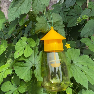 Trampa para Moscas de Plástico Reutilizable, Botella Atrapa Insectos Eficaz para el Control de la Polilla del Manzano - Product Image 4