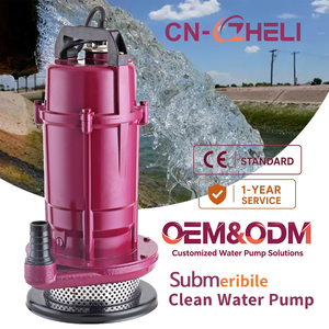 <span class=keywords><strong>Pompe</strong></span> submersible portable ZHELI de haute qualité pour l'irrigation, prix compétitif, électrique, 1 pouce, 0,5 CV, en fonte, pour usage domestique - Product Image 1