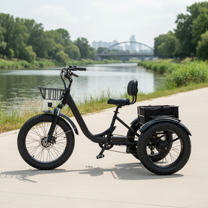 Vélo cargo électrique à trois roues avec pneus larges et freins à disque pour la <span class=keywords><strong>livraison</strong></span> de pizzas en gros - Product Image 3