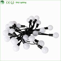 Luces LED RGB de 5/12V para Decoración Navideña, Uso en Paisajes, Bodas y Fiestas, IP66, Ángulo de Visión de 360°, 2 Años de Garantía