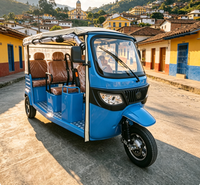 Tricycle électrique spacieux conforme CEE avec contrôleur 48 tubes et pneus à vide pour le transport de passagers dans les parcs et les sites touristiques