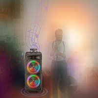 Système de cinéma maison à lumière Led 300W, équipement Dj, sans fil, scène de fête, karaoké, Bt, chariot amplificateur, caisson de basses, haut-parleur