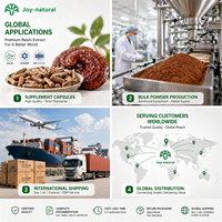 Extrait de complexe de superaliments en poudre de champignons, mélange multi-champignons, complément alimentaire, soutien immunitaire quotidien, bien-être global