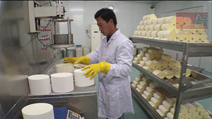 Convertidor catalítico de coche original para FAP DPF <span class=keywords><strong>BMW</strong></span> <span class=keywords><strong>1</strong></span> Series 3, 2,0 diesel, <span class=keywords><strong>116d</strong></span> 118d 316d 318d convertidor catalítico - Product Image 5