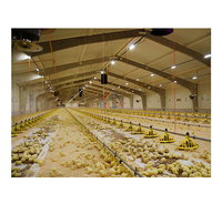 Structure légère en acier préfabriquée pour poulailler, cage à poules pondeuses, ferme avicole