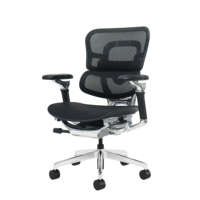 Nouvelle Chaise de Bureau Ergonomique de Luxe en Maille, Fauteuil Informatique de Jeu, Fauteuil de Direction Inclinable Pivotant en Aluminium de Qualité, Vente en Gros