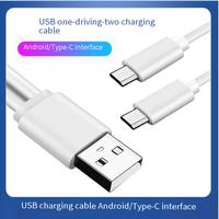 Kabel Pengisi Daya 2-in-1 5V 1A Ramah Lingkungan dari PVC dengan Kabel Tembaga Murni, Tipe-C dan Micro USB 2-in-1 Y untuk Komputer dan Kamera