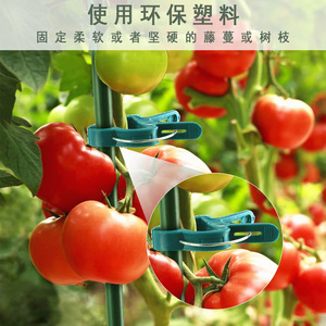 Clips de support pour plantes de tomates, clips de fixation en plastique pour légumes et fleurs, outils de jardinage en gros - Product Image 4