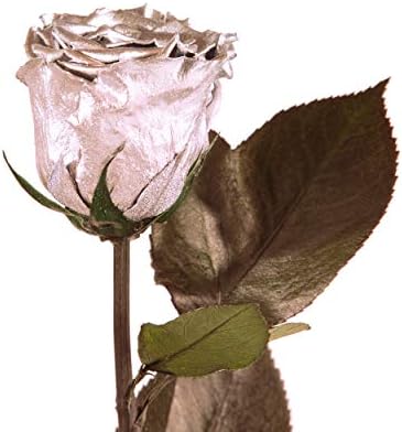 Silver-30