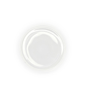 Boîtes de Pétri en verre Wei Hong 60mm 75mm 90mm 100mm 120mm 150mm 200mm, haute transparence, pour culture cellulaire, consommables de laboratoire - Product Image 4