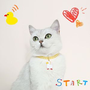 애완 동물 목걸이 캔디 컬러 아보카도 펜던트 고양이 & 개 안전 목걸이 - Product Image 6