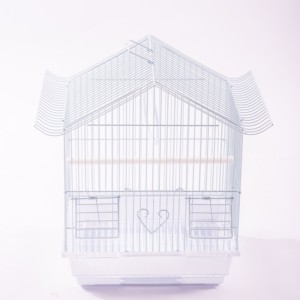 Transporteur d'oiseaux portable transparent avec conception de ventilation complète pour des voyages en plein air sûrs et confortables - Product Image 5