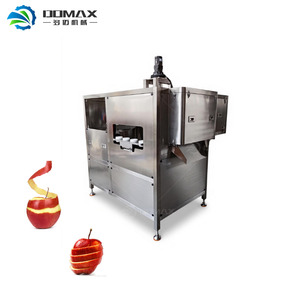 Machine automatique personnalisée pour le dénoyautage et le découpage des fruits (poires, pommes) - Product Image 4
