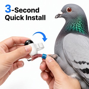 Dispositif <span class=keywords><strong>de</strong></span> suivi pour pigeons voyageurs, mini 2,2g étanche IP68, avec fonction <span class=keywords><strong>de</strong></span> lecture <span class=keywords><strong>de</strong></span> la trajectoire <span class=keywords><strong>de</strong></span> <span class=keywords><strong>vol</strong></span> pour élevages <span class=keywords><strong>de</strong></span> pigeons, achat en gros - Product Image 4