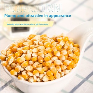 Proveedor de Granos de <span class=keywords><strong>Palomitas</strong></span> de Maíz para Hacer en Casa, Serie DIY de Alta Calidad, 50 g x 8 Paquetes, Granos de <span class=keywords><strong>Palomitas</strong></span> de Maíz con Sabor - Product Image 5