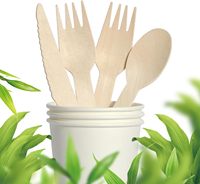 Ensemble de couverts jetables en bois, 500 pièces (cuillères et fourchettes de 15,7 cm, couteaux de 16,5 cm, fourchettes à fruits de 8,6 cm) pour les fêtes