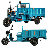 Tricycle électrique robuste à 3 roues avec benne latérale haute pour le transport agricole – Moto électrique